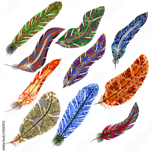 Vector set of feathers
