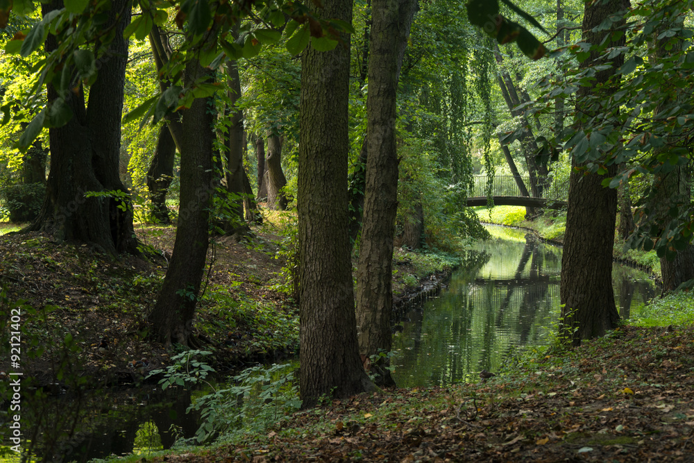 Obraz premium Idylle - Brücke im Wald