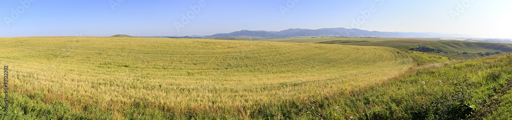 Beautiful panorama agricultural fields in August.