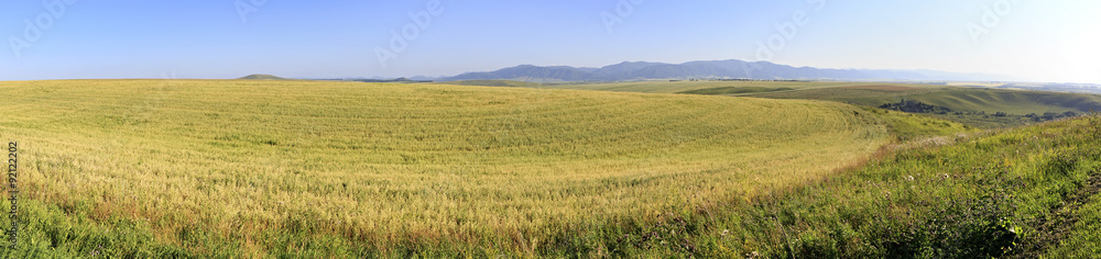 Beautiful panorama agricultural fields in August. Beautiful panorama agricultural fields in August.