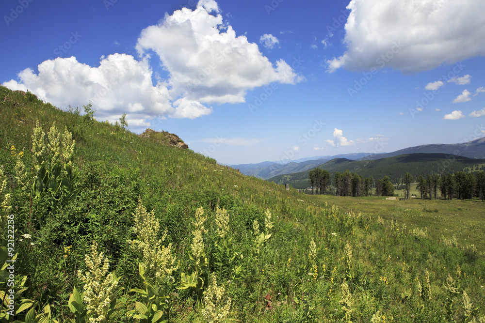 View Altai Mountains from the top of Tiyahty. View Altai Mountains from the top of Tiyahty.