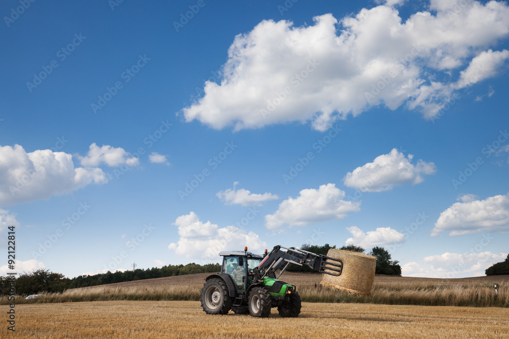 Fototapeta premium Tractor carrying hay at the field