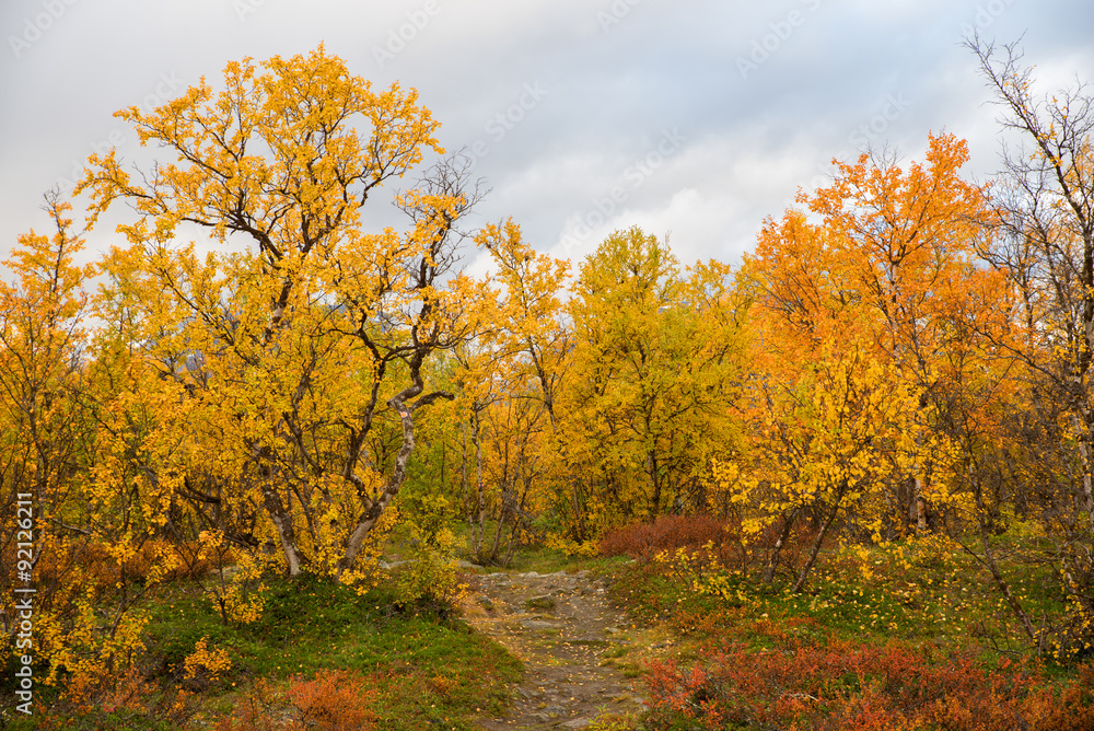 Mountain landscape in north of Sweden