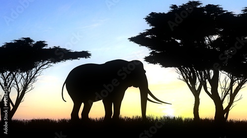 Elephant silhouette on nature background © sabida