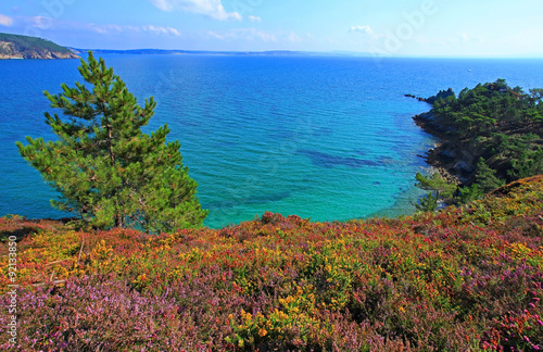 Presqu'île de Crozon, la mer vue du GR 34, au sud de Morgat, Finistère, Bretagne 
