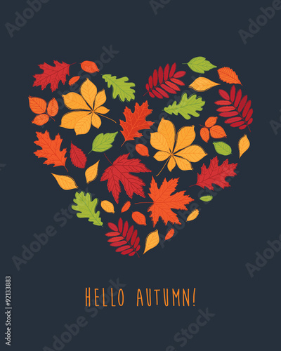 Hello autumn! The heart of the autumn leaves. Background with hand drawn autumn leaves. Fall of the leaves. Autumn leaves are drawn on the chalkboard. Sketch, design elements. Vector illustration.