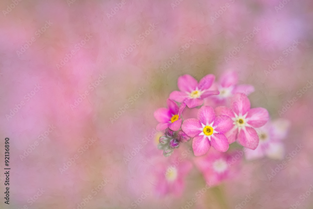 Fototapeta premium Macro shot of a flower against painterly and blur background