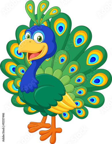 Cartoon beautiful peacock isolated on white background