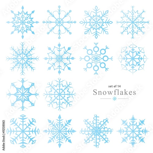 set of fourteen snowflakes