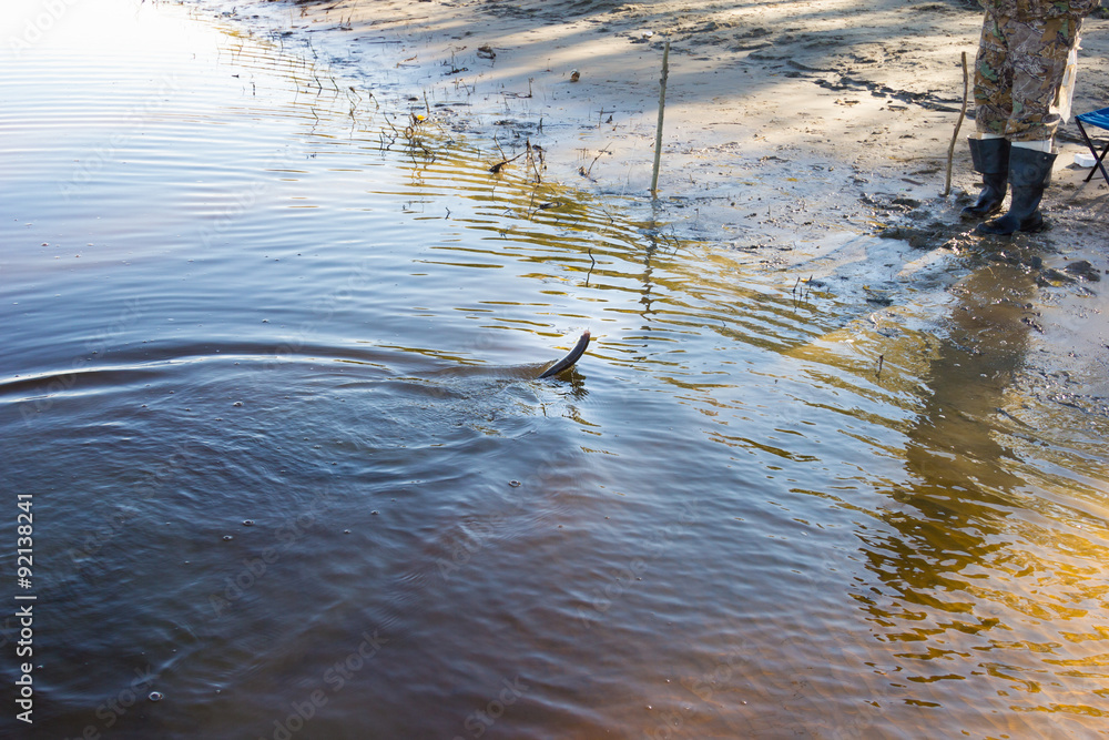 Obraz premium Fisherman