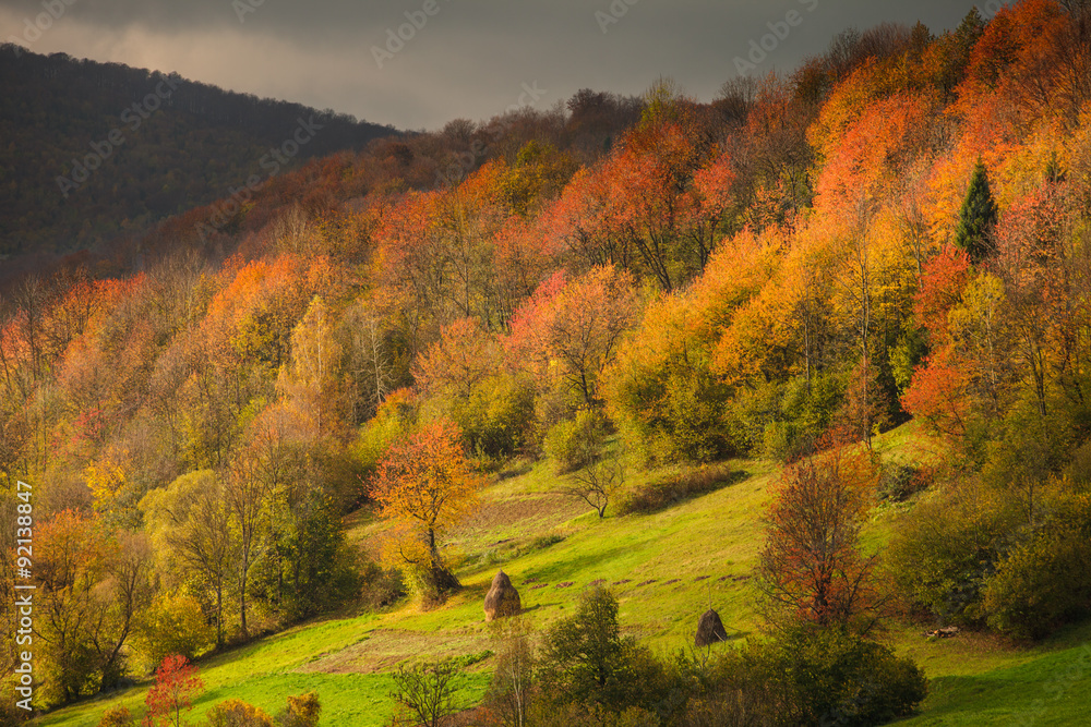 autumnal landscape