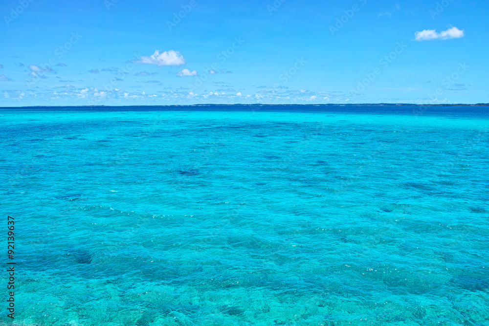 Obraz premium コバルトグリーンの海