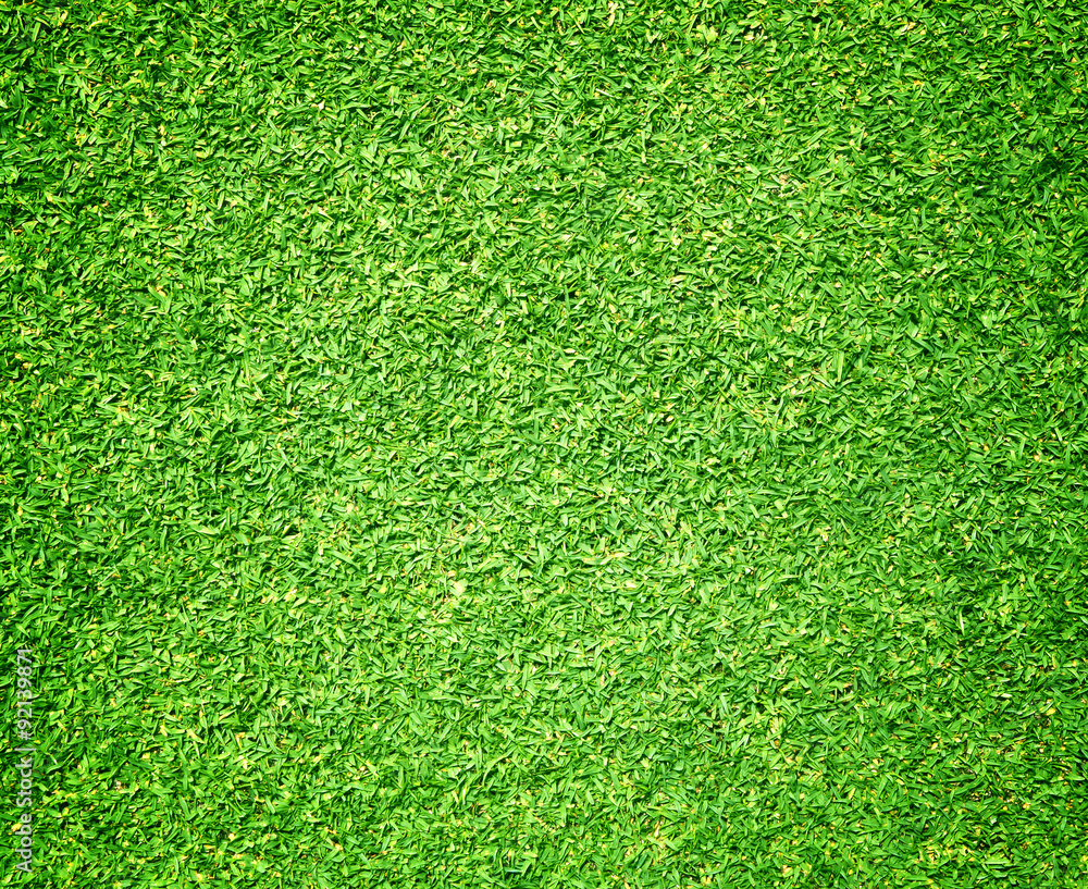 Fototapeta premium Grass background