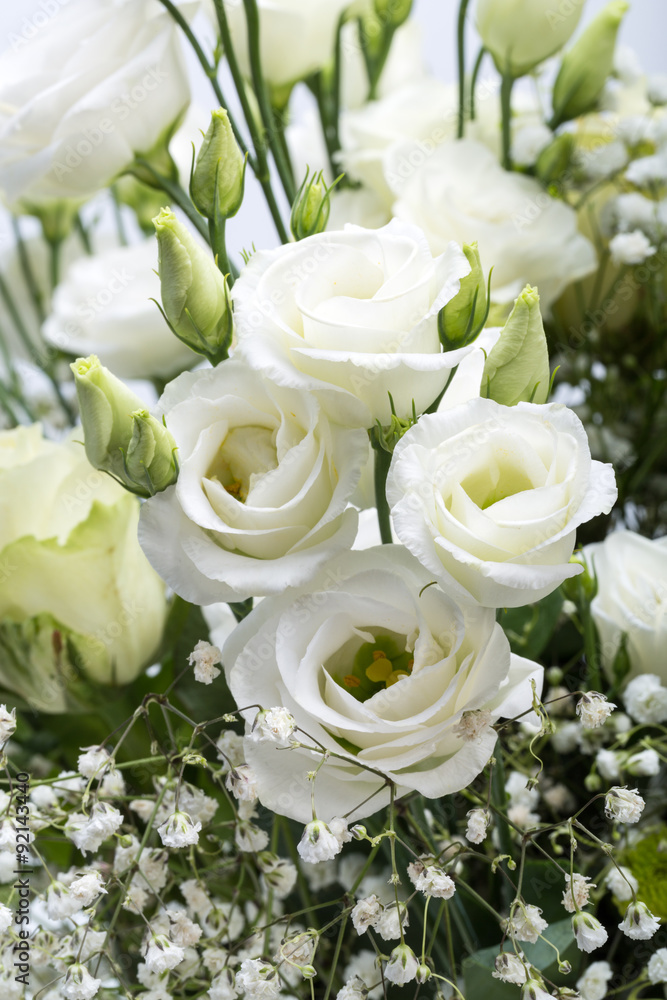 Fototapeta premium Close up of white roses