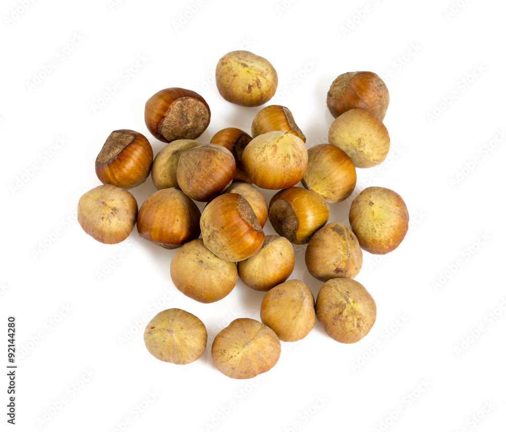 fresh hazelnuts isolated on white fresh hazelnuts isolated on white