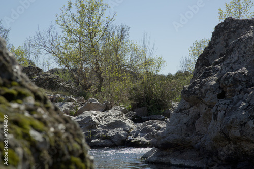 arroyo 06 / arroyo entre rocas con primer plano de líquenes desenfocados y árbol y maleza en el fondo