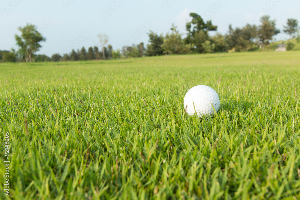 golf ball on lip of cup