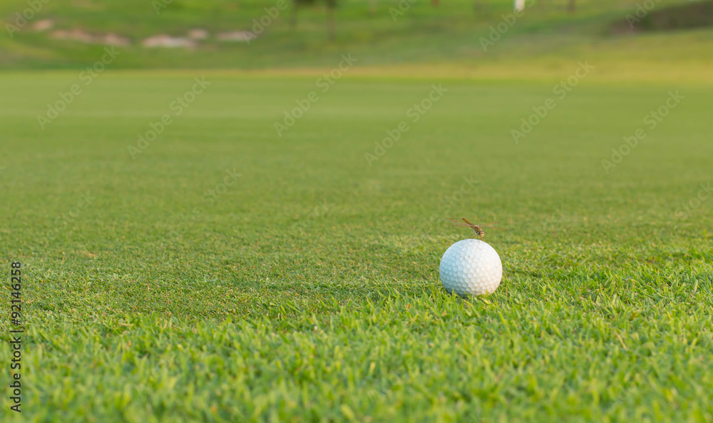 golf ball on lip of cup golf ball on lip of cup