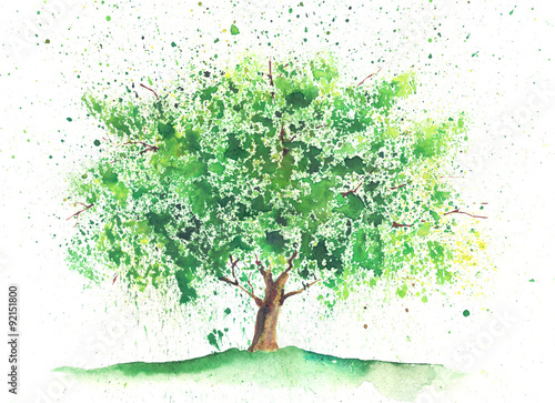 Naklejka Akwarela letnie drzewo