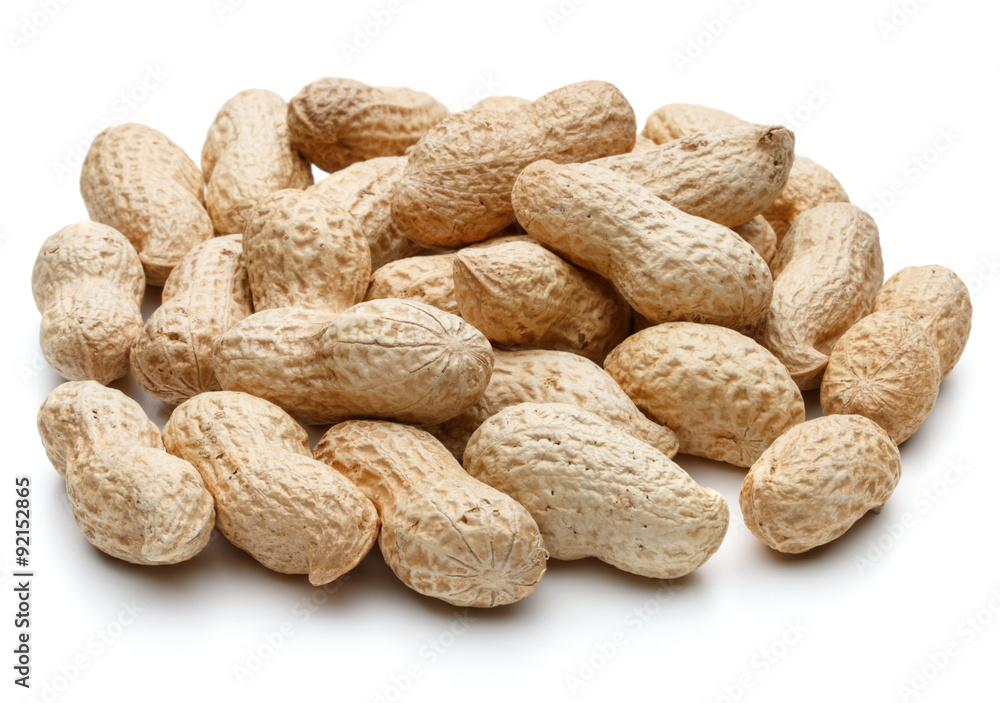 peanut pod or arachis isolated on white background cutout peanut pod or arachis isolated on white background cutout