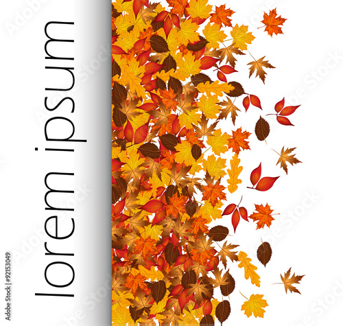 Autumn background