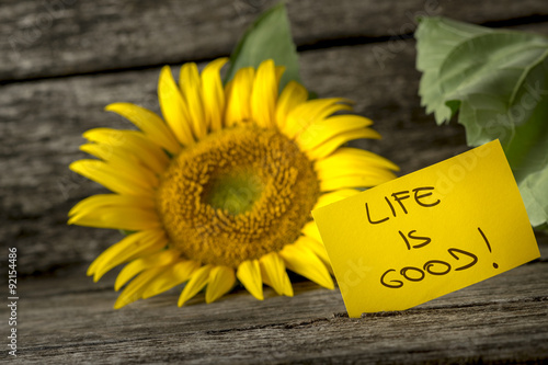 Fototapeta Naklejka Na Ścianę i Meble -  Yellow card with a Life is good message leaning on a beautiful b