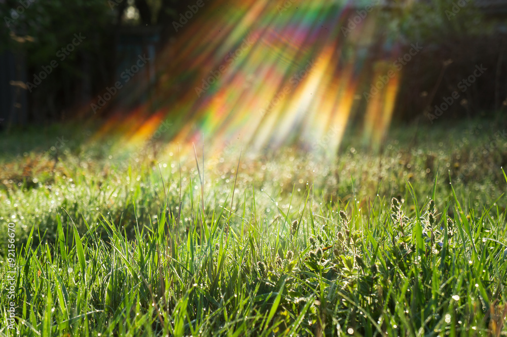 green grass and sun,environmental protection concept green grass and sun,environmental protection concept