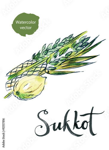 Watercolor lulav and etrog, Sukkot plants