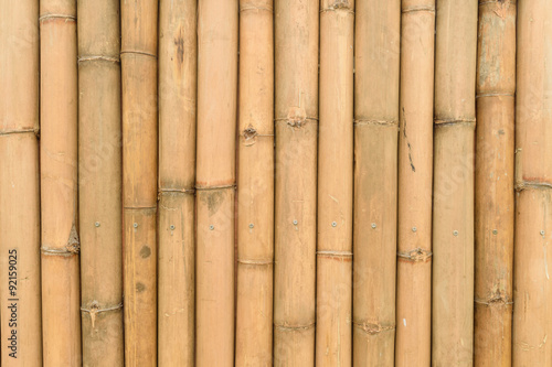 Bamboo wall texture