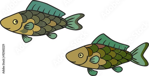 freshwater fish