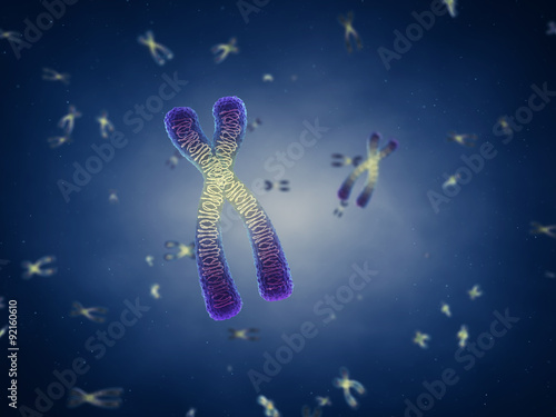 Chromosomes , genetic engineering , DNA