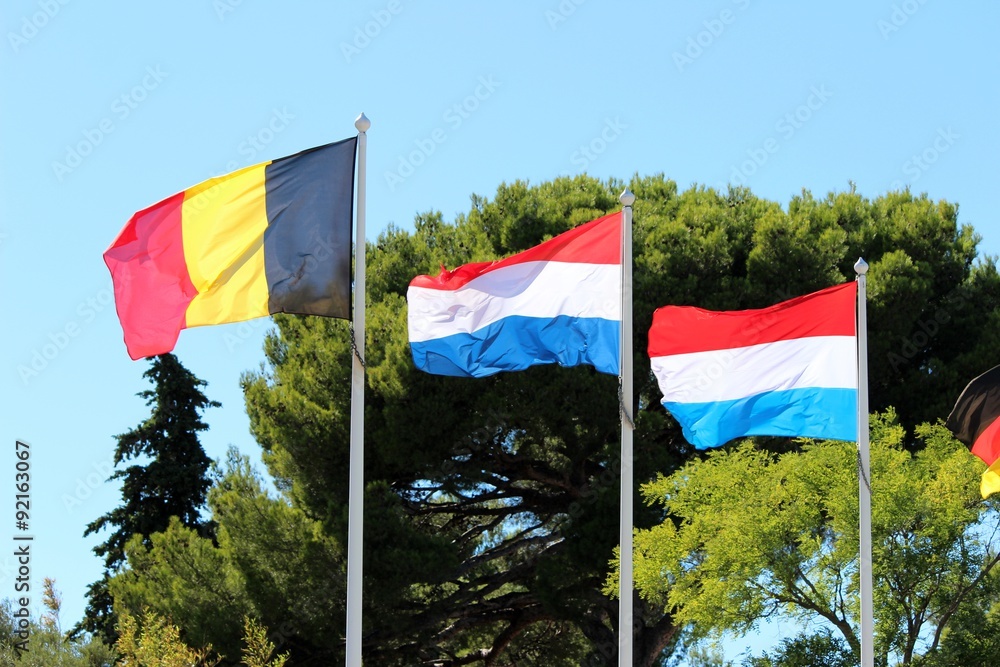 Fototapeta premium Flagi krajów Beneluksu
