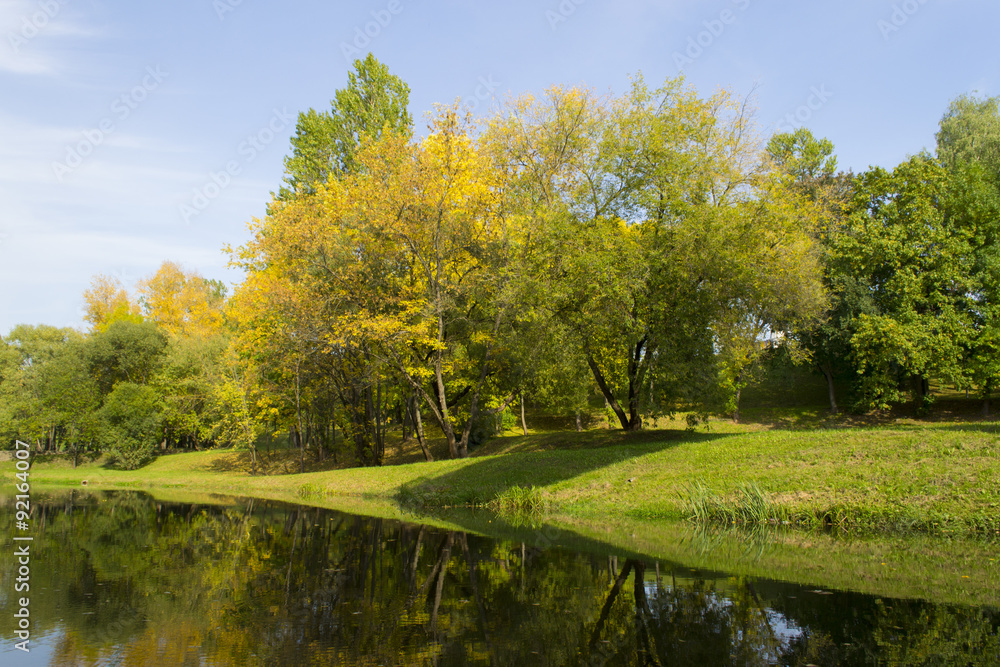 City park with colorful trees in autumn City park with colorful trees in autumn