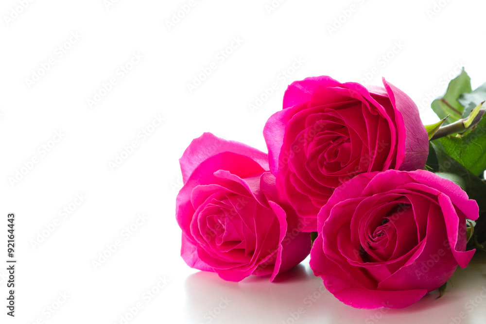 Fototapeta premium Three roses