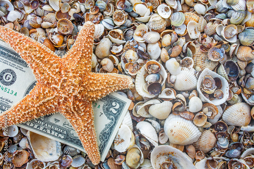 Seastar and dollar note on sea coast