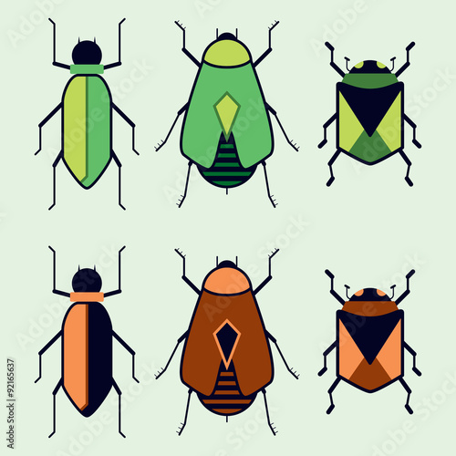 Insects
