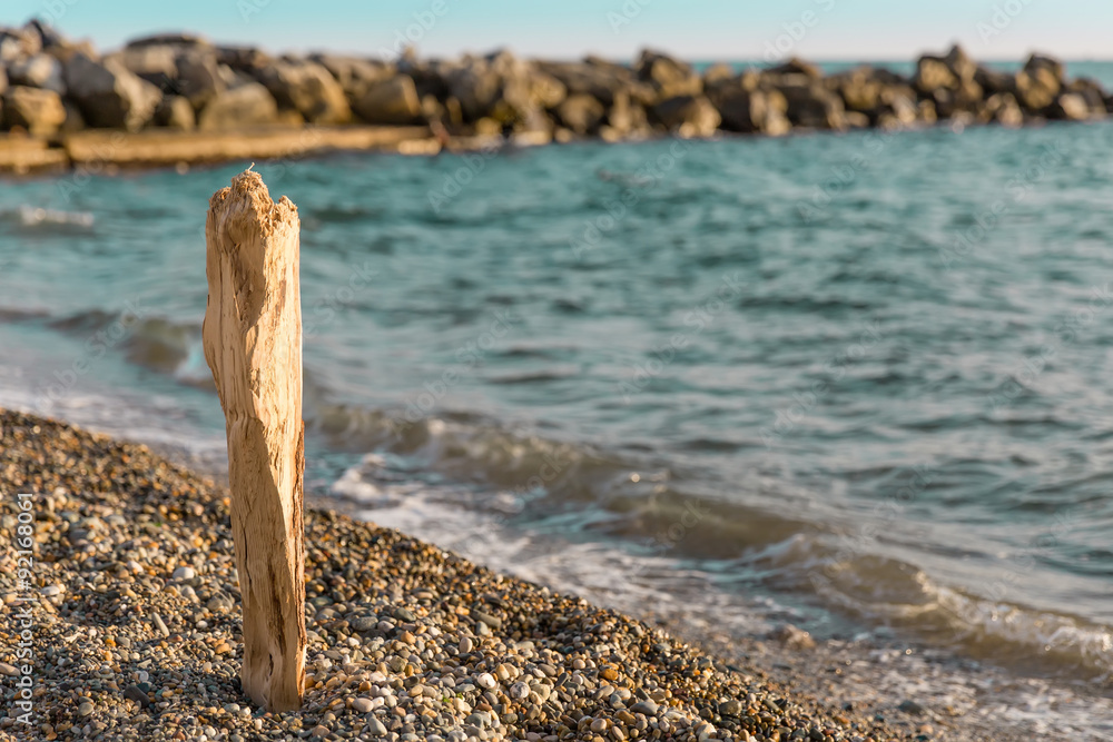 wooden log on a rocky beach