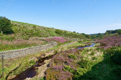 Bolt's Burn, Ramshaw near Blanchland photo