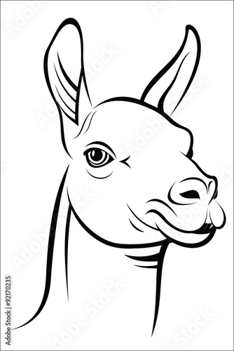 Lama