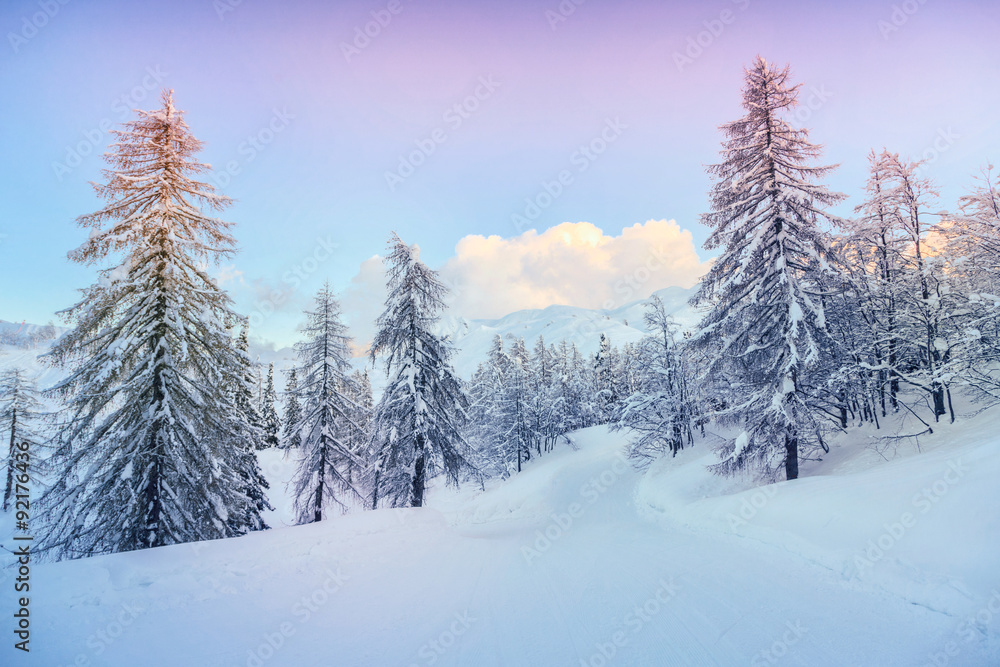 Fototapeta premium Winter landscape near Vogel ski center