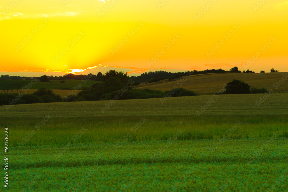 Naklejka premium Beautiful sunset on a spring field