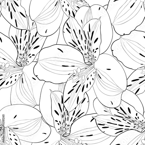 beautiful black and white seamless pattern in alstroemeria with contours.