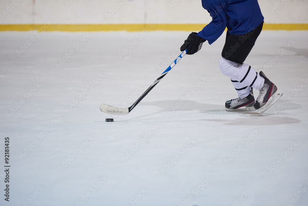 Obraz premium ice hockey player in action