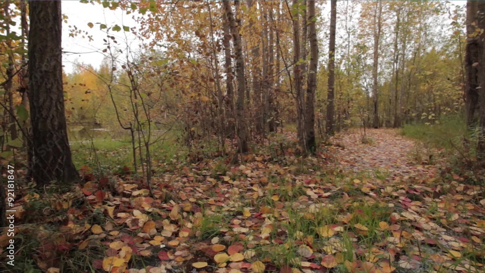 A walk in the fresh air warm autumn day A walk in the fresh air warm autumn day