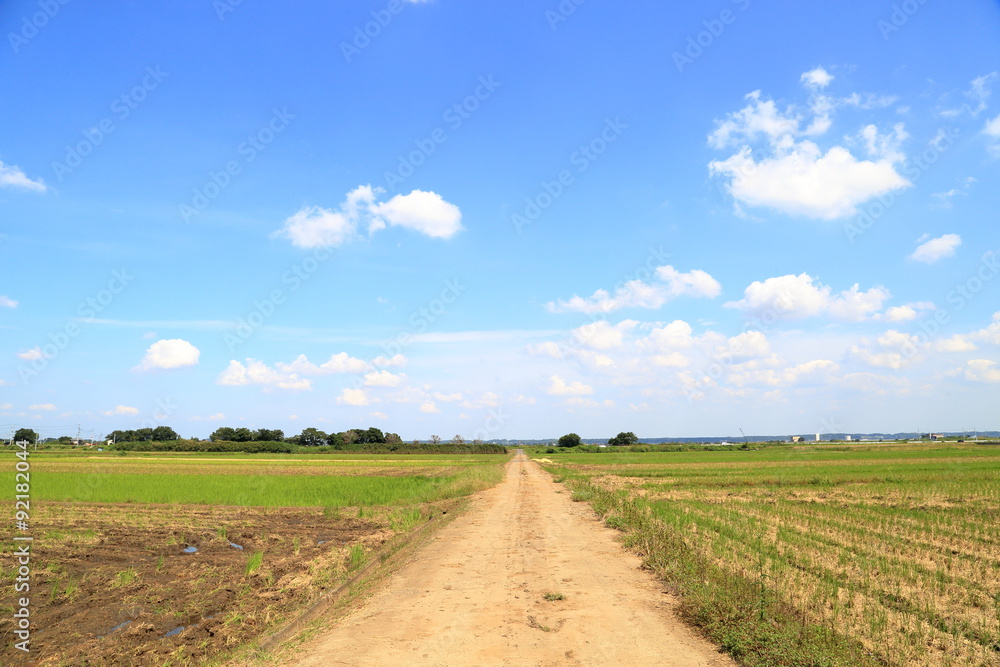 Obraz premium 空に続く道