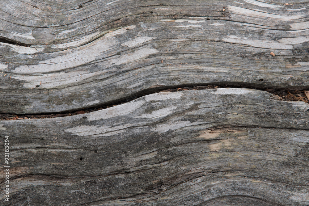 Lodgepole Pine Wood Lodgepole Pine Wood