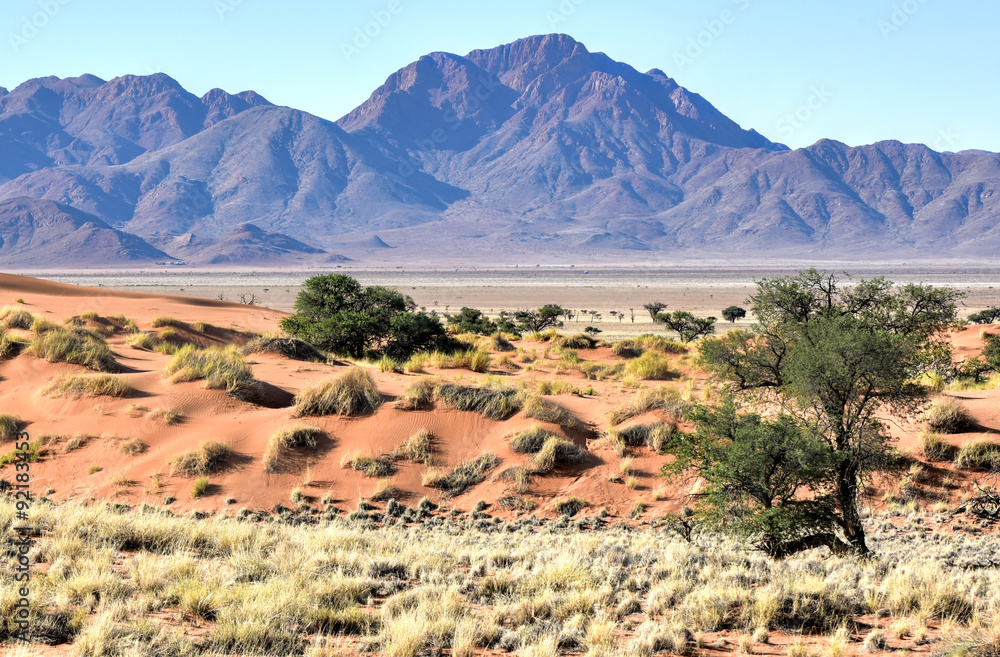 Desert Landscape - NamibRand, Namibia