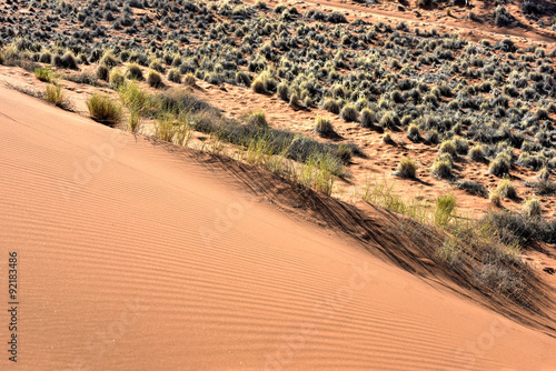 Fototapeta Naklejka Na Ścianę i Meble -  Desert Landscape - NamibRand, Namibia