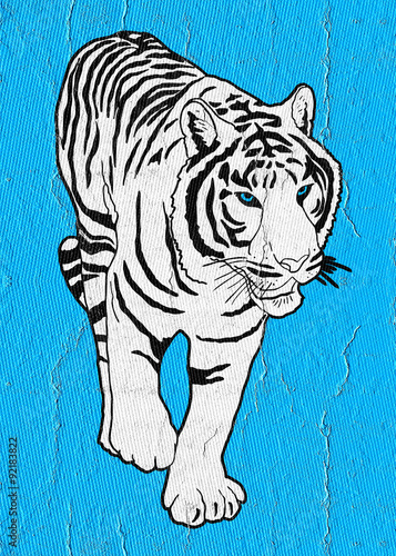 Fototapeta Naklejka Na Ścianę i Meble -  Tiger card