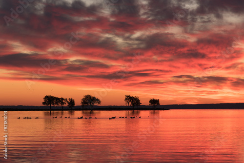 Red Orange Dawn on the Lake. photo